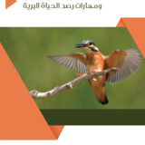 فن التصوير الفوتوغرافي ومهارات رصد الحياة البرية