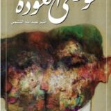 فوضى العودة